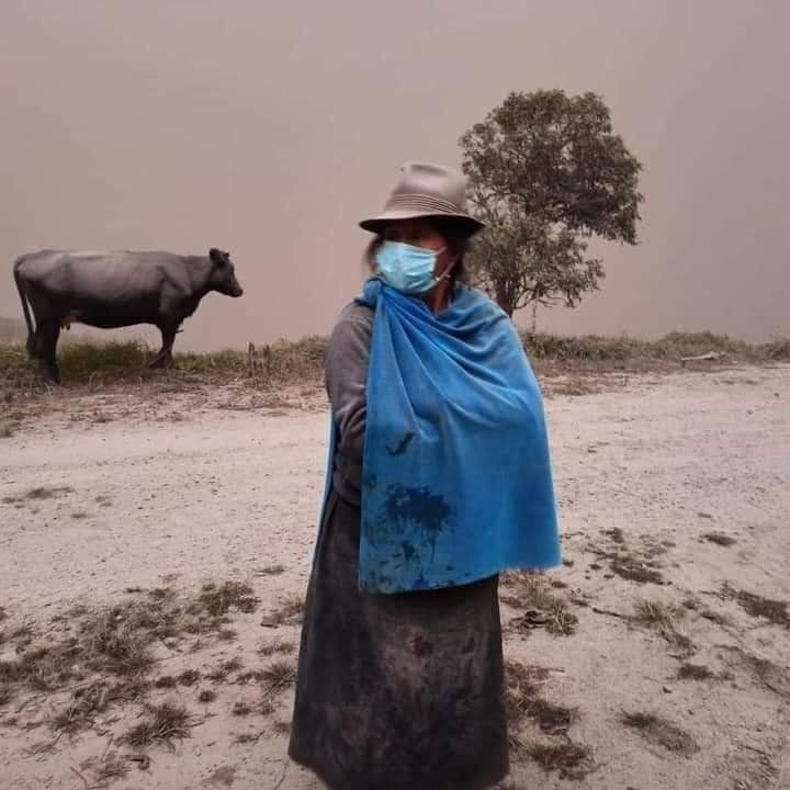 Miles de hectáreas afectadas por la caída de ceniza. http://44.213.112.5
