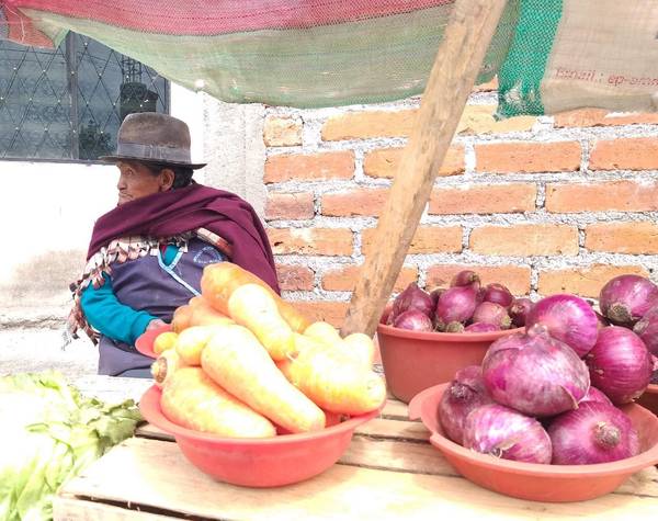 Testimonios Riobamba: María no deja de trabajar. http://44.213.112.5