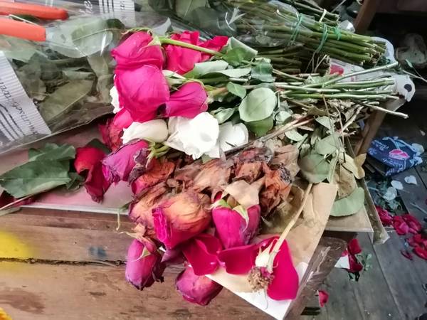 Venta de flores