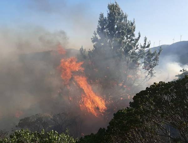 incendios forestales