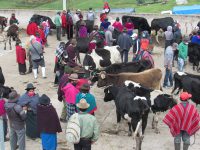 feria de Tzalarón