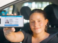 Licencia digita