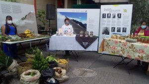 Mercado Móvil
