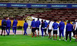 Debut del Olmedo