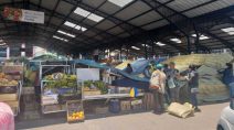 Reciclaje en mercados de Riobamba