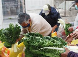 Productos orgánicos Chimborazo