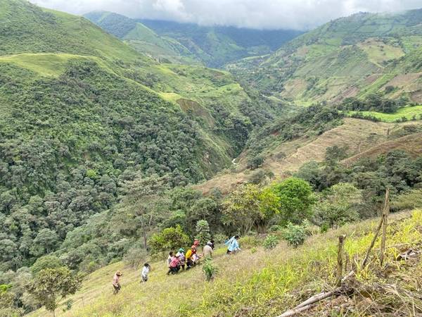 Mujer cayó 50 metros y sigue con vida