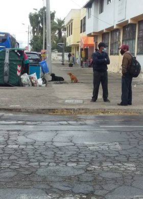 Día del Trabajador