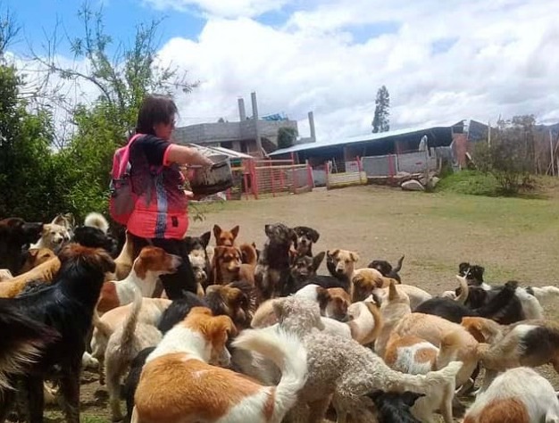 Rescate animal Riobamba