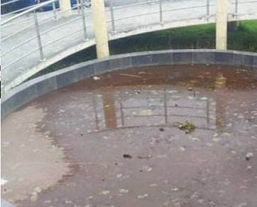 Problemas de salubridad Riobamba