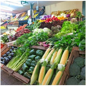 Huertos familiares para una vida saludable: