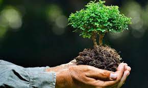 ¿Riobamba cuida el medio ambiente?