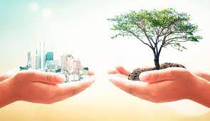 Recicladores cuidan el medio ambiente