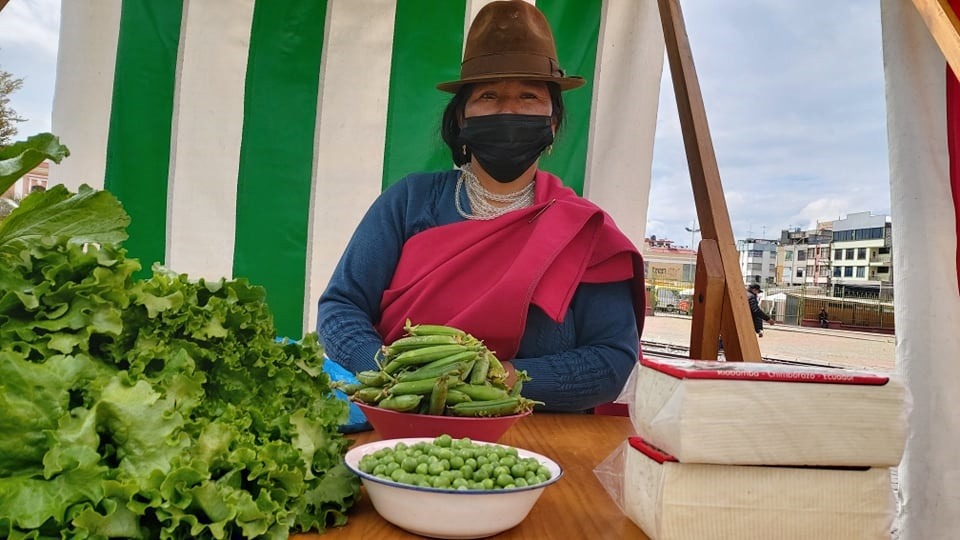 "Plaza vida" venta directa de productos