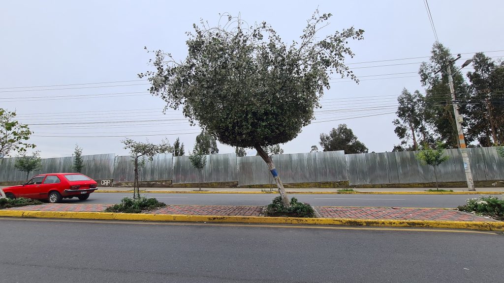 areas-verdes