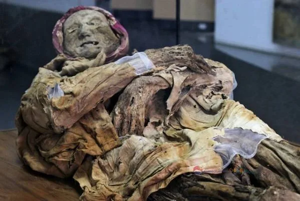 Momia de Guano- Museo