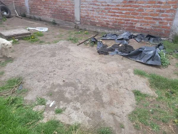 Barrio Rosapamba pide más compromiso municipal