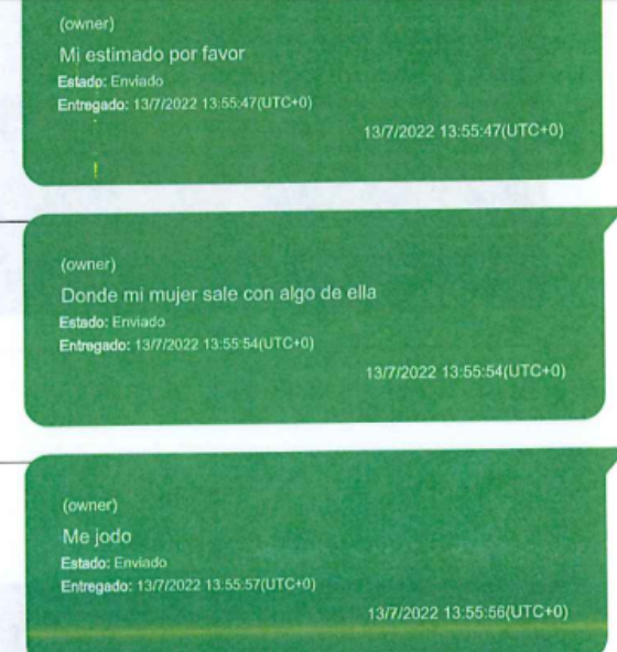 Chats del celular de Leandro Norero.