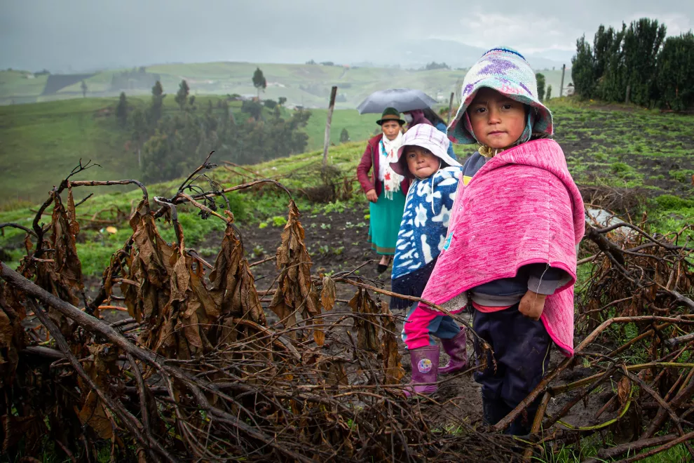 Desnutrición crónica infantil, problemática que afecta a Chimborazo
