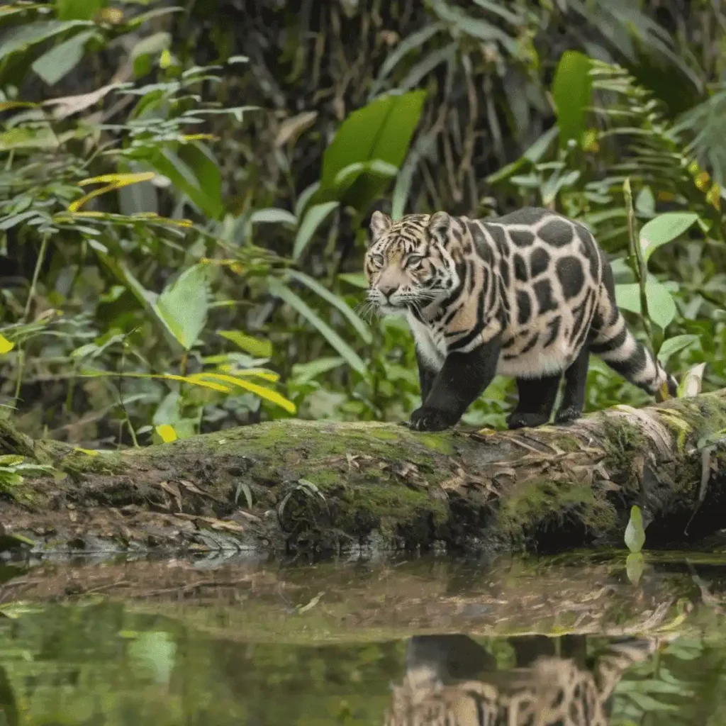 Biodiversidad del Parque Nacional Yasuní hecho por IA.