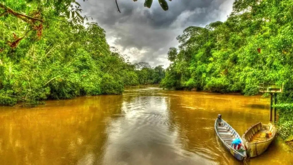 Gobierno Ecuatoriano entregara un millón de dólares al Parque Nacional Yasuní