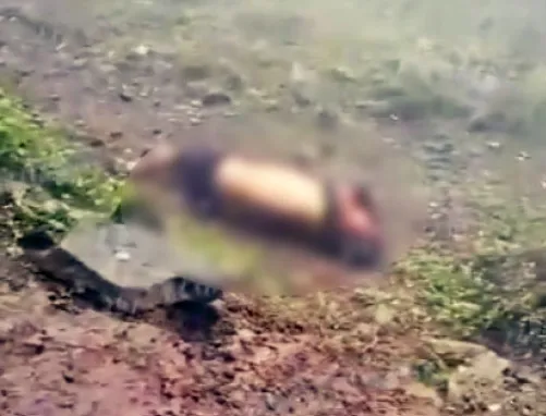 muertos en masacre dentro del cantón Camilo Ponce Enriquez.
