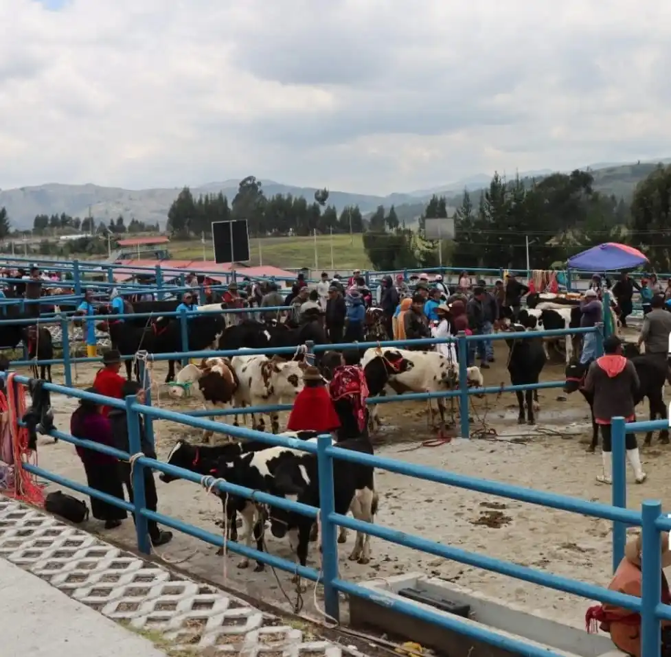¿Cuántas plazas de rastro hay en Chimborazo?