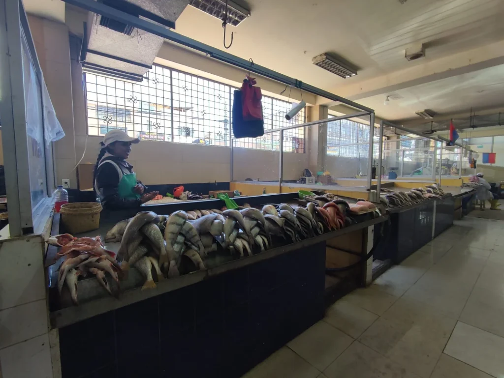 Mercado Condamine no necesita adecuaciones
