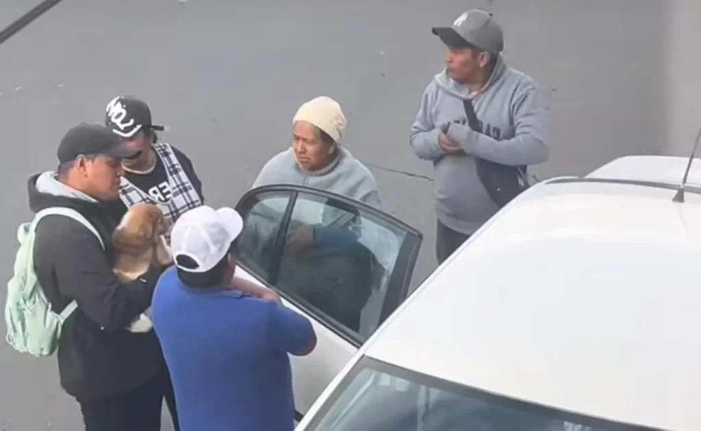 Continua la venta ilegal de perros en Riobamba
