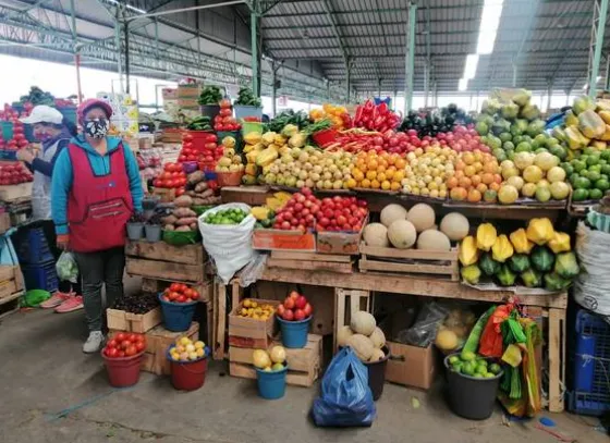 Especulación de precios y reformas en el Mercado Mayorista.