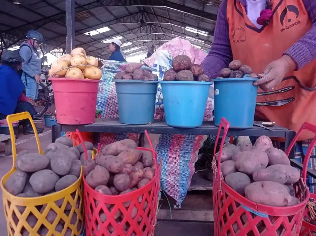 El precio de la papa en Riobamba ha experimentado variaciones significativas.