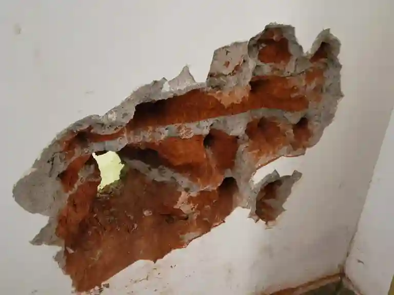 En primera instancia picaron esta pared, pero estaba reforzada, por ello buscaron otra 'alternativa'