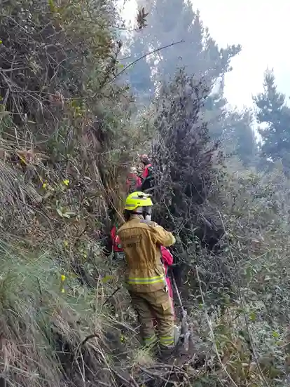 El incendio forestal se pudo controlar en un 80%, en el sector de Caluvín