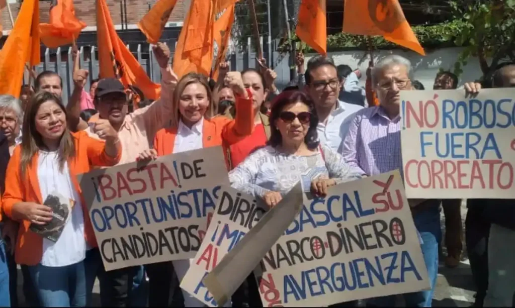 Las precandidaturas anunciadas causaron indiferencias internas en Izquierda Democrática.