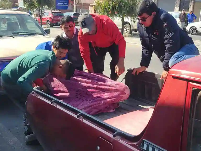 La implacable muerte pactó una cita con un hombre, de 59 años, al amanecer. Tenía esposa y 5 hijos, 2 de ellos menores de edad