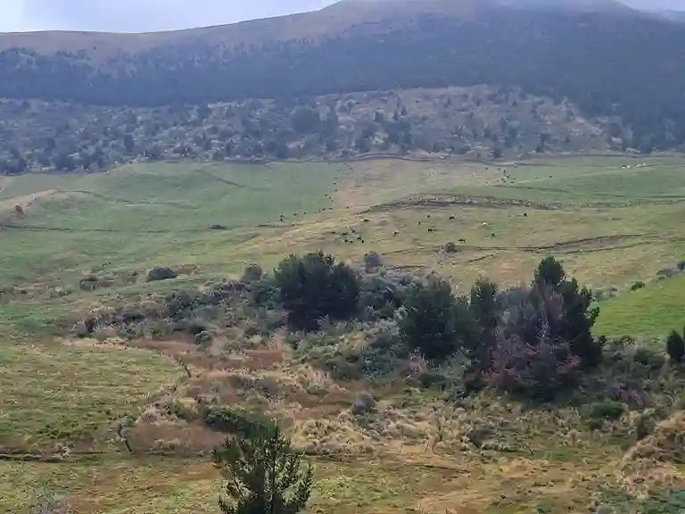 El agua contaminada en el páramo del cantón Guano afecta al consumo humano y a la producción agropecuaria, lo que preocupa a 7 sectores