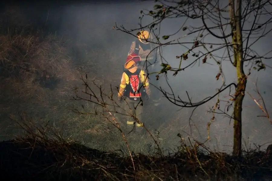 Incendio forestal afecta a bosque en Alausí