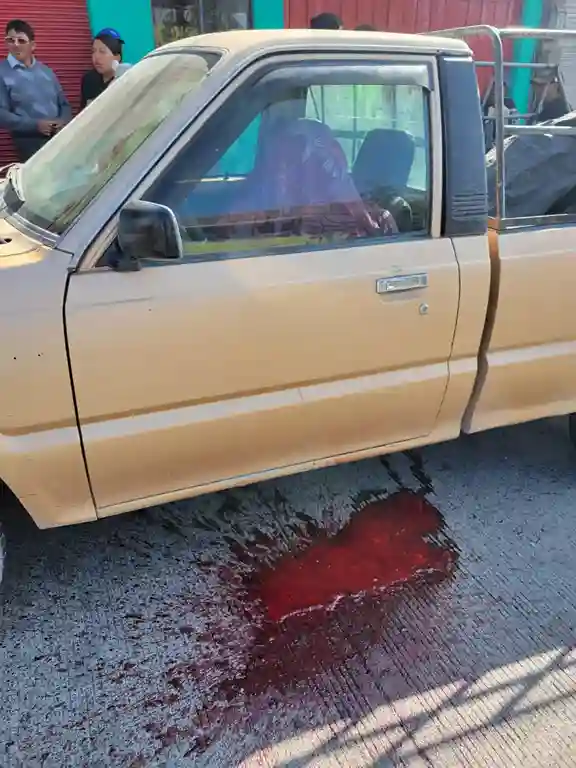 Tras detenerse para vomitar, el hombre regresó a su camioneta, y allí murió