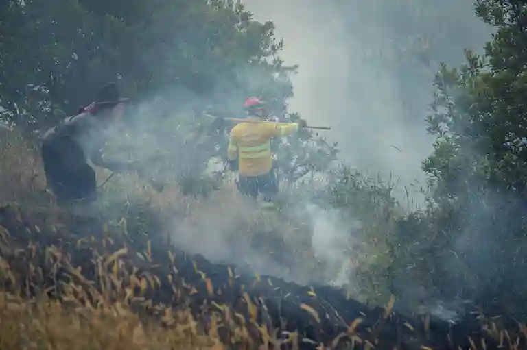 2 hectáreas de vegetación se consumieron por el efecto destructivo de las llamas