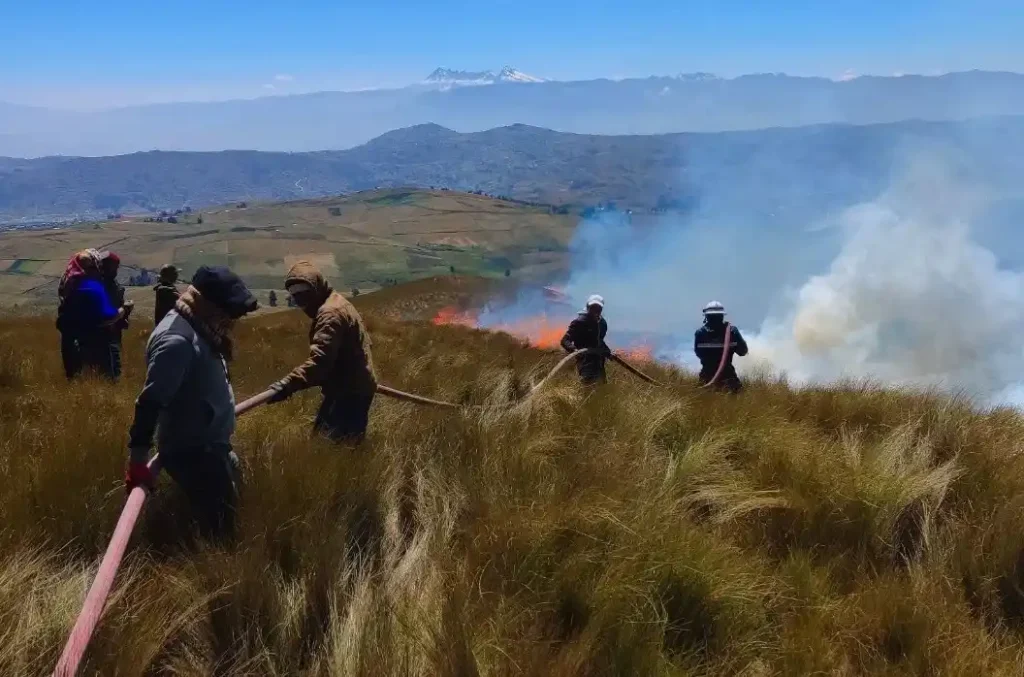 El incendio forestal en Colta-Chimborazo arrasó con varias hectáreas.