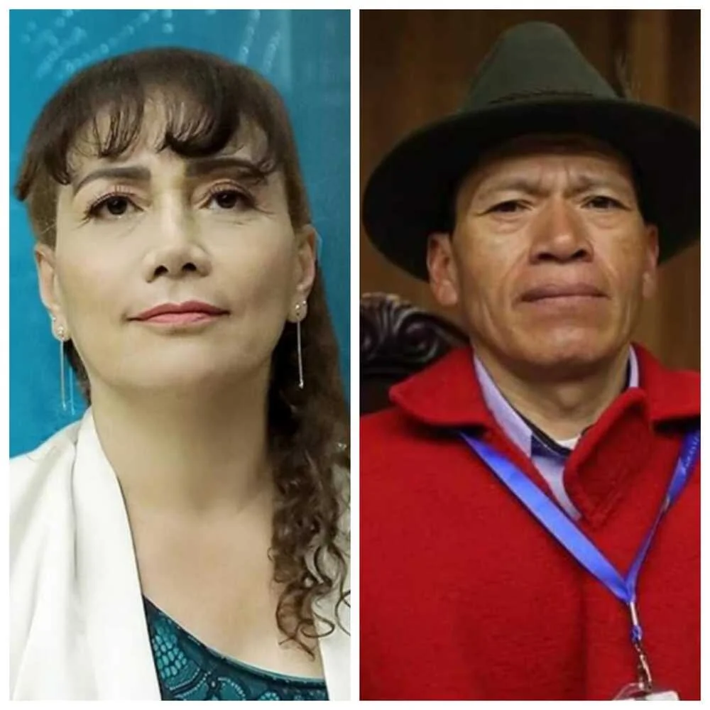 Los suplentes de los asambleístas de Chimborazo deberán tomar su curul previo a las elecciones 2025.