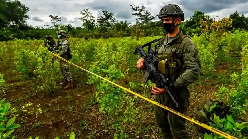 2.000 hectáreas de coca Noboa anuncia ofensiva contra el narcotráfico
