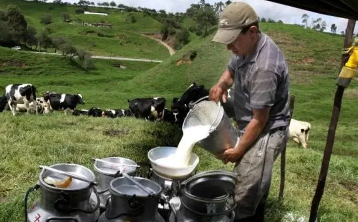 Chimborazo produce leche para exportar a Chile