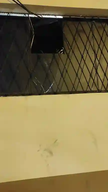 Por esta ventana ingresaron los antisociales para perjudicar a Shark Fit