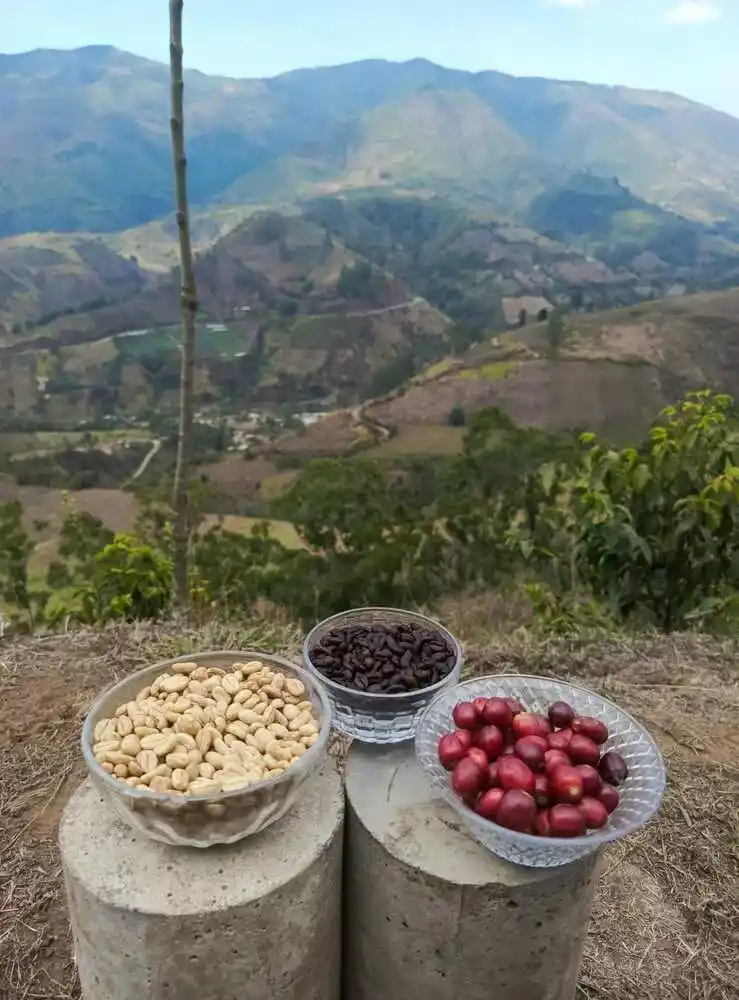 Café de Pallatanga en sus presentaciones.