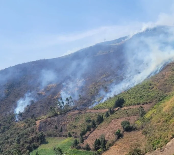 Pallatanga en Chimborazo declarada en emergencia por incendios.