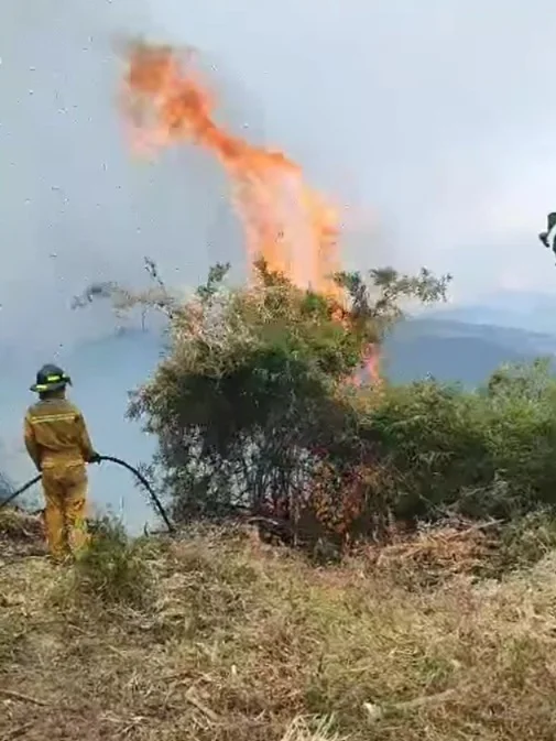 12 días de incendios Pallatanga: ¿Cómo activar COE el Provincial?