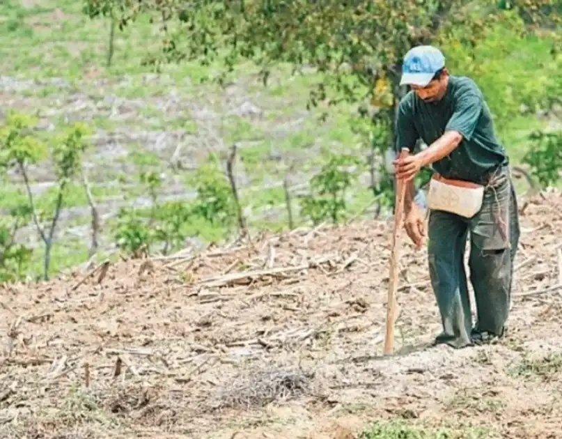 Riobamba aún no recibe los USD 558 mil del Gobierno por sequía