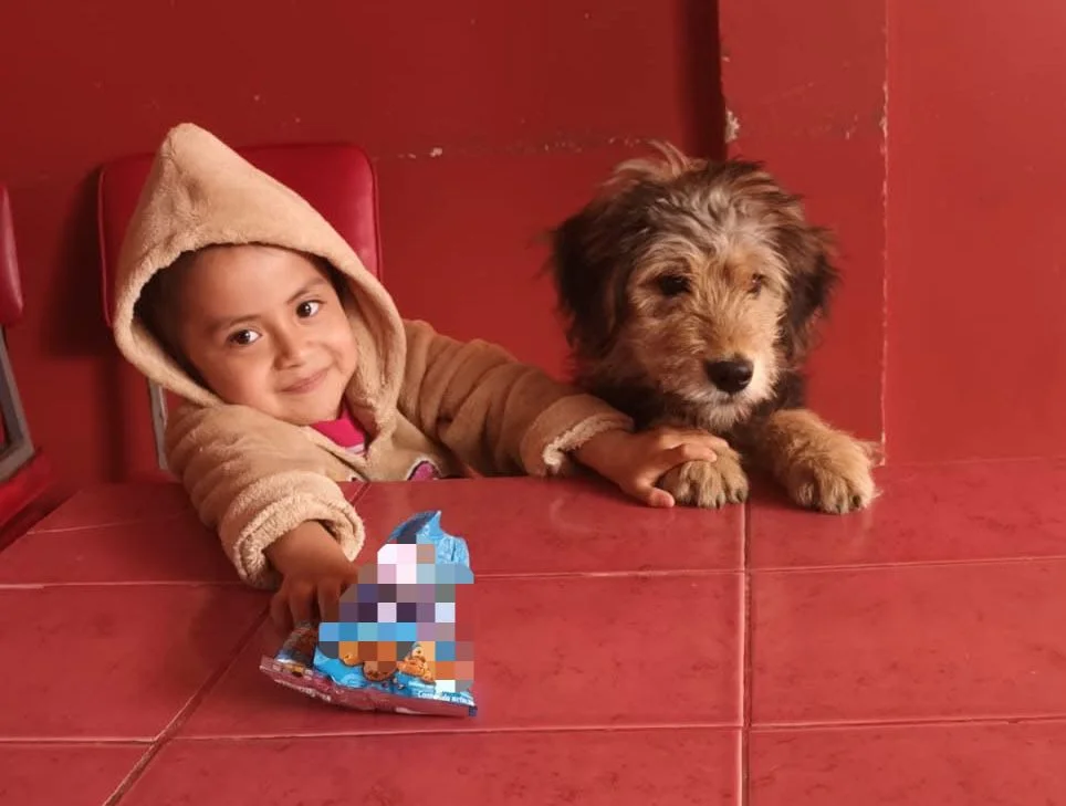 Niños se desarrollan mejor junto a mascotas: Beneficios.