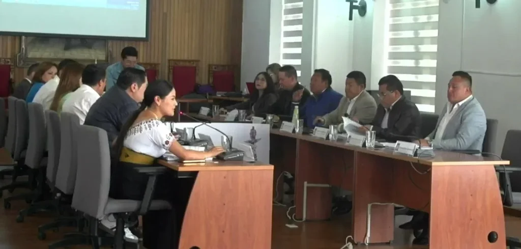 Vicealcaldesa convoca a reunión para remover alcalde.